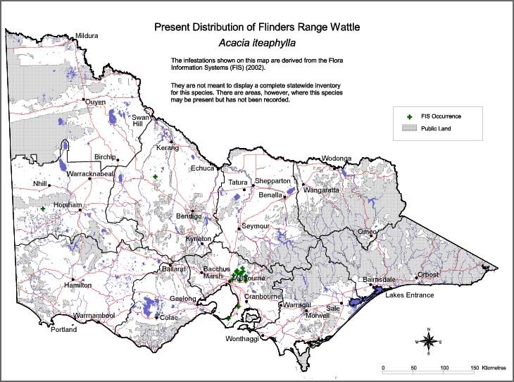 Map:  Present distribution - Flinders Ranges Wattle