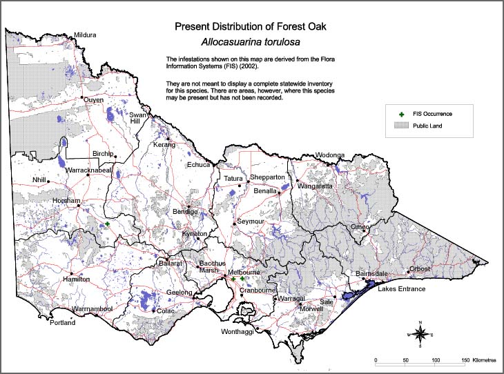 Map:  Present distribution - Forest Oak