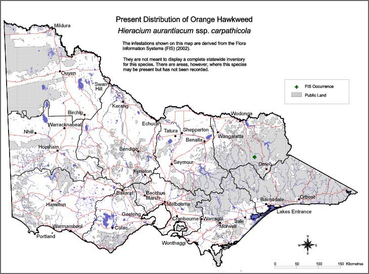 Map:  Present distribution - Orange Hawkweed