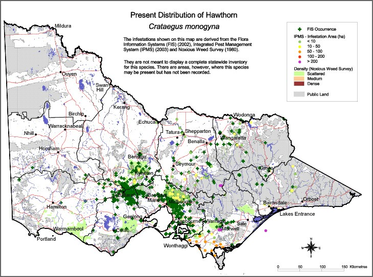Map:  Present distribution - Hawthorn