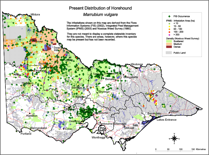 Map:  Present distribution - Horehound