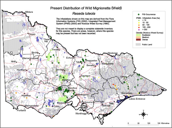 Map:  Present distribution - Mignonette