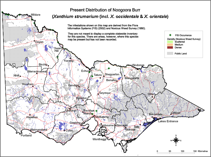 Map:  Present distribution - Noogoora Burr