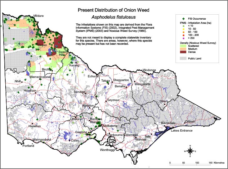 Map:  Present distribution - Onion Weed