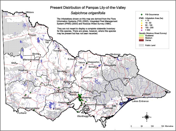 Map:  Present distribution - Pampas Lily of the Valley