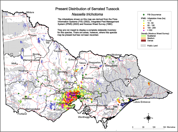 Map:  Present distribution - Serrated Tussock