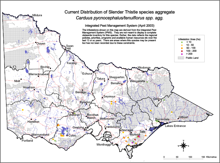 Map:  Present distribution - Slender Thistle