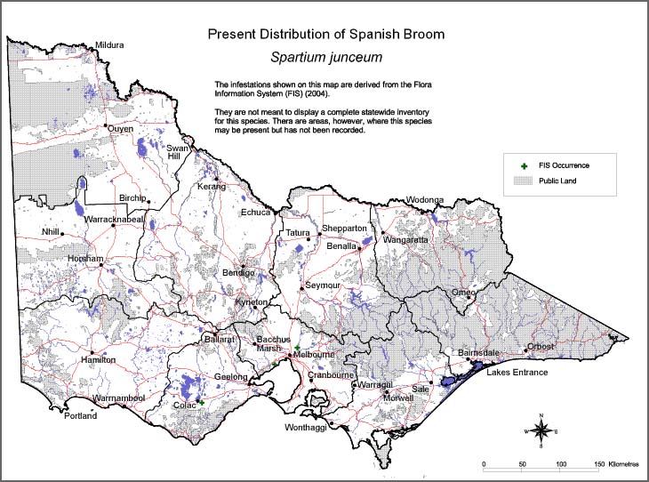 Map:  Present distribution - Spanish Broom