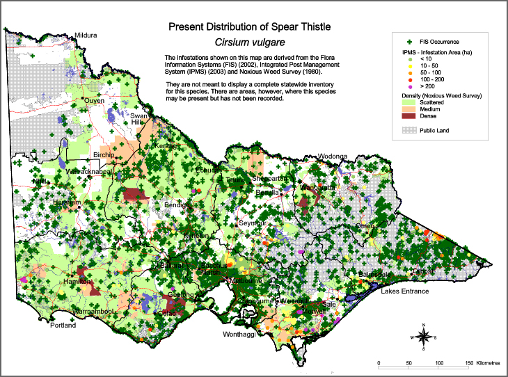 Map:  Present distribution - Spear Thistle