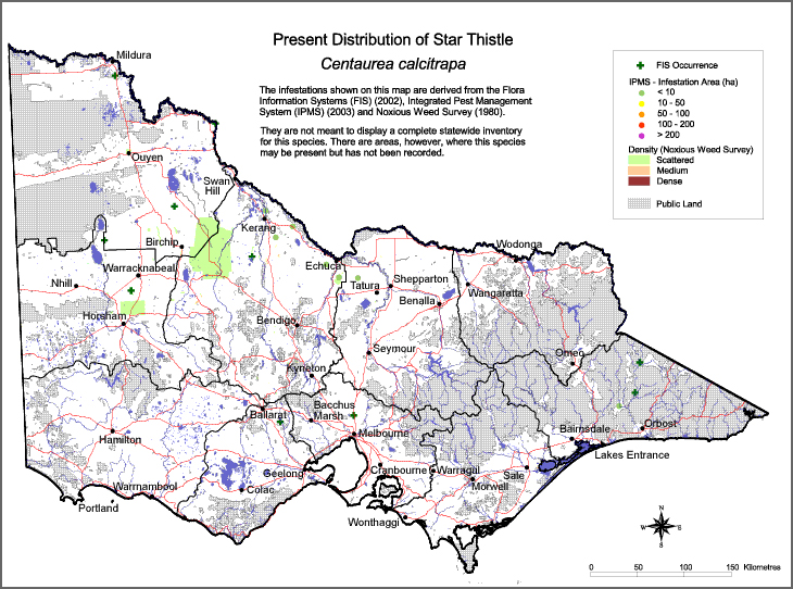 Map:  Present distribution - Star Thistle