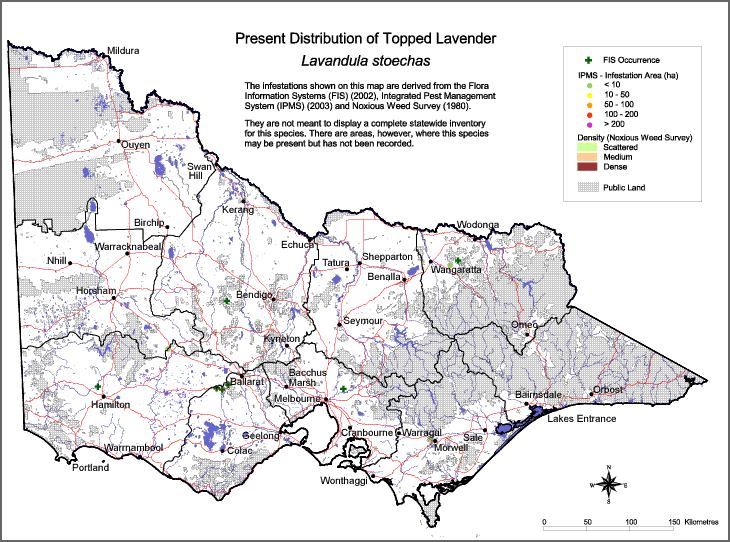 Map:  Present distribution - Topped Lavender