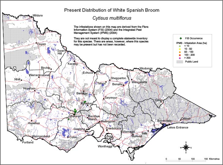 Map:  Present distribution - White Spanish Broom