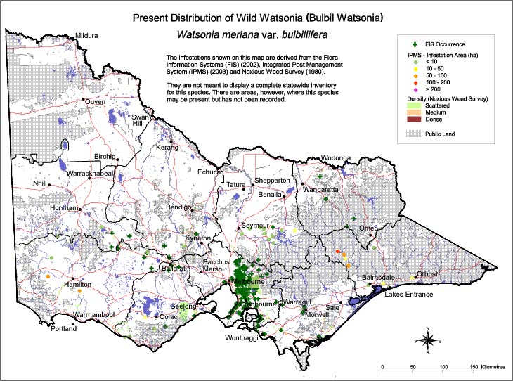 Map:  Present distribution - Wild Watsonia