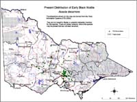 Map:  Present distribution Early Black Wattle