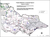 Map:  Present distribution Flax Leaved Alyssum