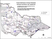 Map:  Present distribution Orange Hawkweed