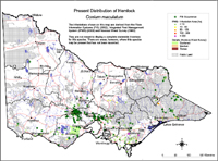 Map:  Present distribution Hemlock