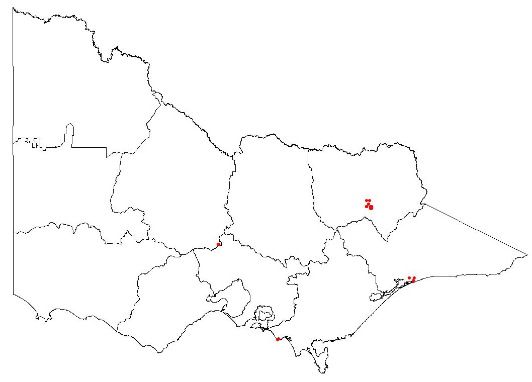 map showing the present distribution of lupinus arboreus