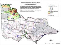 Map:  Present distribution Onion Weed