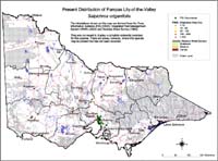 Map:  Present distribution Pampas lily-of-the-valley
