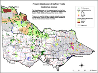 Map:  Present distribution Saffron Thistle