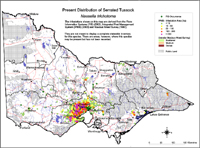 Map:  Present distribution Serrated Tussock