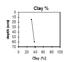 CFTT12 clay