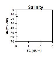 CFTT12 salinity