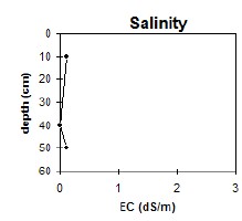 CFTT6 salinity