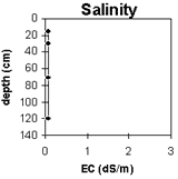 Graph: Site CFTT 8, Salinity Levels