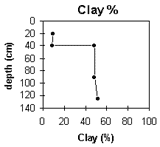 Graph: Site CFTT 9, Clay %
