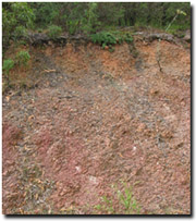 Photo: Soil profile developed on Devonian sediments near Lake Glenmaggie