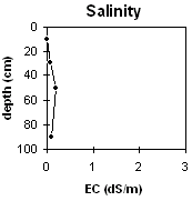 Graph: Salinity levels in Site EG3