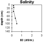 Graph: Salinity levels in Site G37