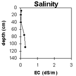 Graph: Salinity levels in Site G38