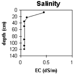 Graph: Salinity levels in Site G67