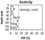 Graph: Sodicity levels in Site G67