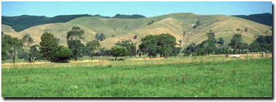 Photo: Soil Site GP19 Landscape