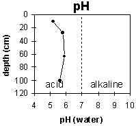 Graph: Site GP19 pH levels