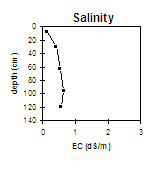 Image:  Salinity - GP29