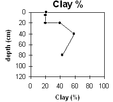 Graph: Site GP44 Clay%