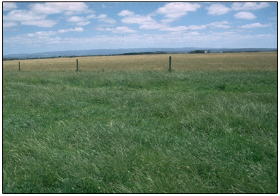 Photo: Site GP44 Soil Landscape