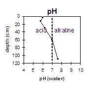 Graph: Site GP44 pH levels