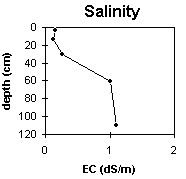 Graph: Site GP44 Salinity Levels