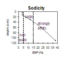 Graph: Site GP44 sodicity