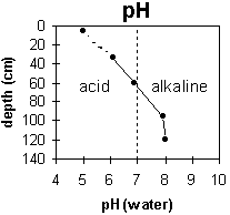Graph: Soil GP49 pH levels