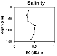 Graph: Site GP82 Salinity levels