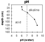 Graph: pH levels in Site G31