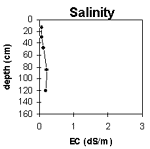 Graph: Salinity levels in Site G31