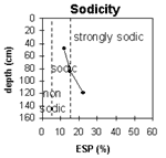 Graph: Sodicity levels in Site G31